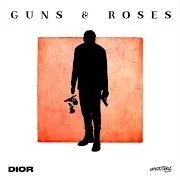 Dior — Guns & Roses